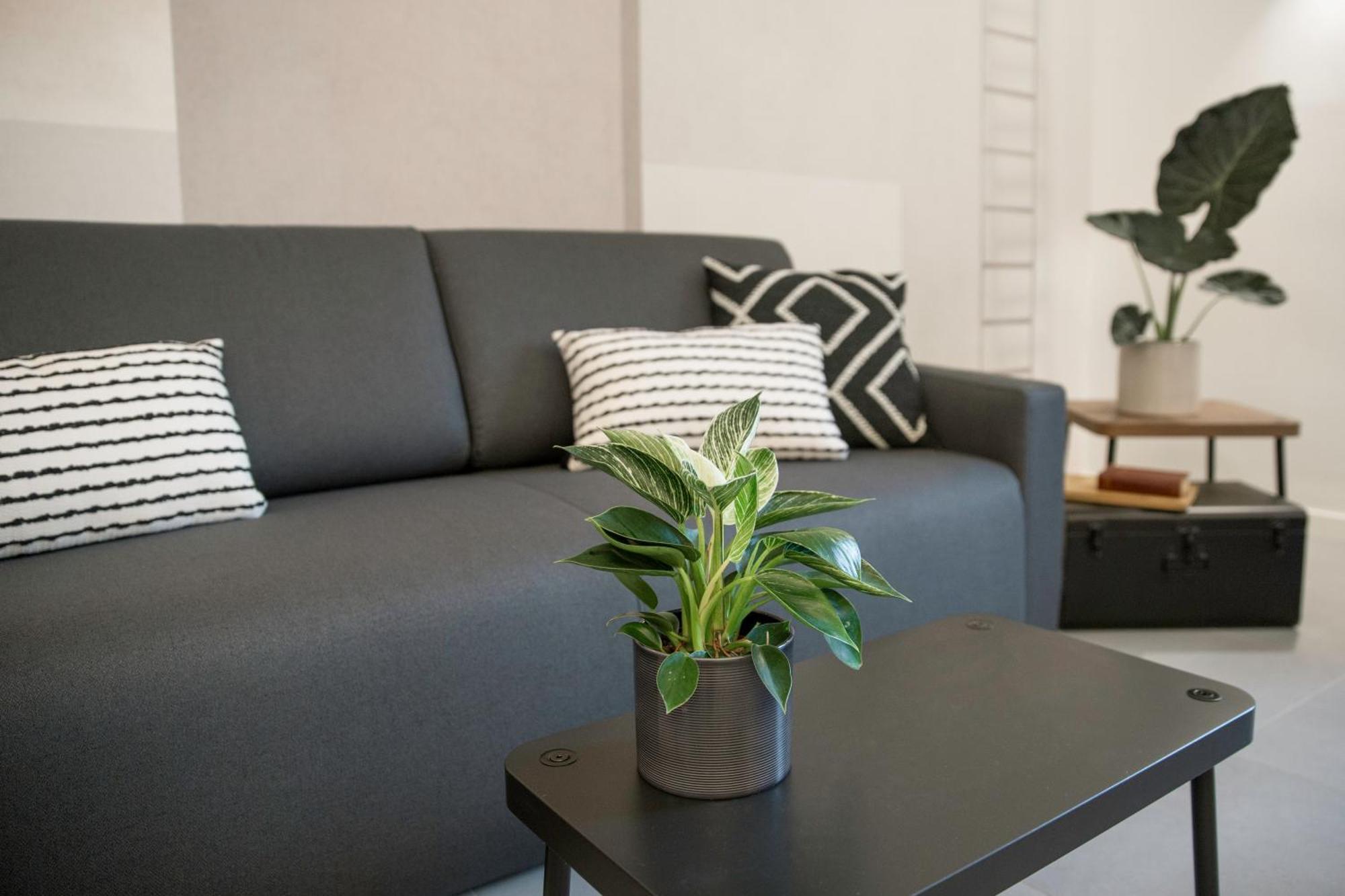 Re Di Roma Luxury Suite Eksteriør bilde